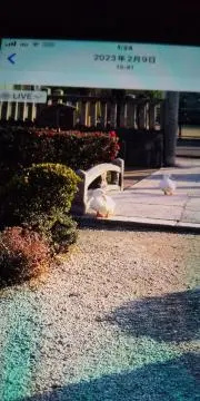 Datsukuの画像