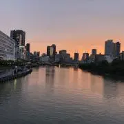 もっちの画像
