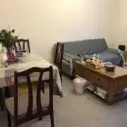 ヒナギク⁂値段交渉前にプロフ見てくださいの画像