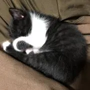 アースの画像