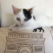 水輝