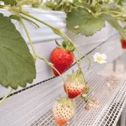 R.の画像