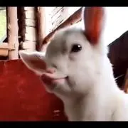 MMの画像