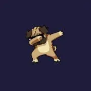 こーたの画像