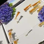 ゆきの画像