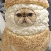あーさぁの画像