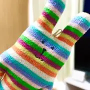 こんぶの画像