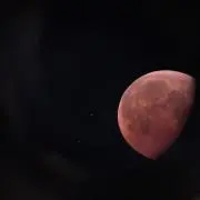 だいの画像