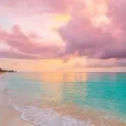 ひぃぃの画像