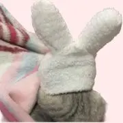 A❤︎の画像