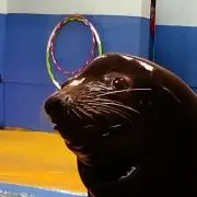 ぱんこ      ◆プロフ一読ください◆