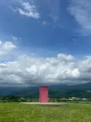 ネコスモの画像