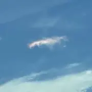 오터の画像