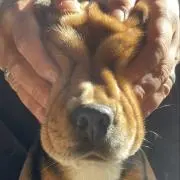 朝生弘貴