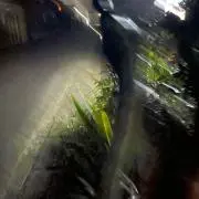 らぎの画像