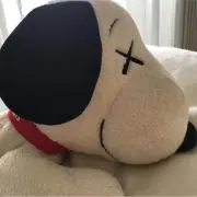 yoshiの画像
