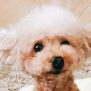 ❤︎Mony❤︎