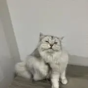 おこげの画像