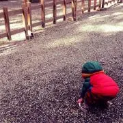くぼちゃん