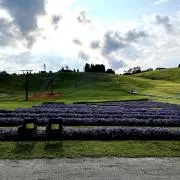 みしんの画像