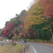 やまとの画像