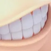 donkey