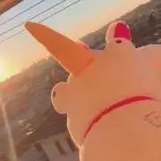 ゆにの画像