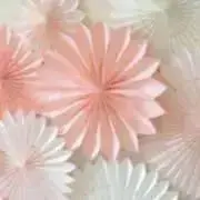 (•Ӫ•)の画像