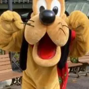 たこやきの画像
