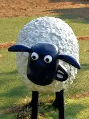 たむけん