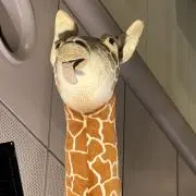 nowべ