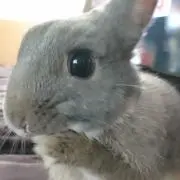 シュガー♪