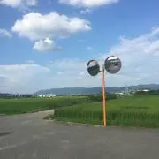 ハルカの画像