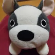 1204aaの画像