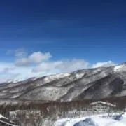 ご縁ちゃんの画像