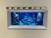 秋津の画像