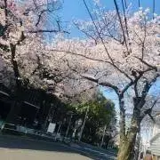すーさん。