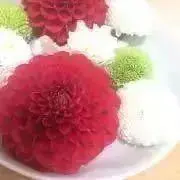 【順次整理中❗️】ちまきの画像