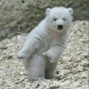 びぃん