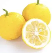 ゆずの画像