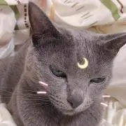 みー♡の画像