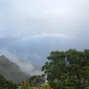 よなの画像