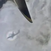 ♡断捨離♡セールの画像