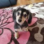 よっしー（プロフ必読！）