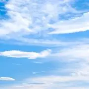 じょーじの画像