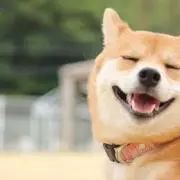 ユッケ【プロフィール必見】の画像