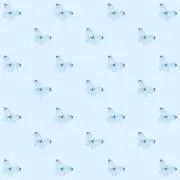 りら☽⋆の画像