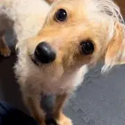 ちくわ