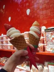 ゆーの画像