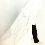 honの画像